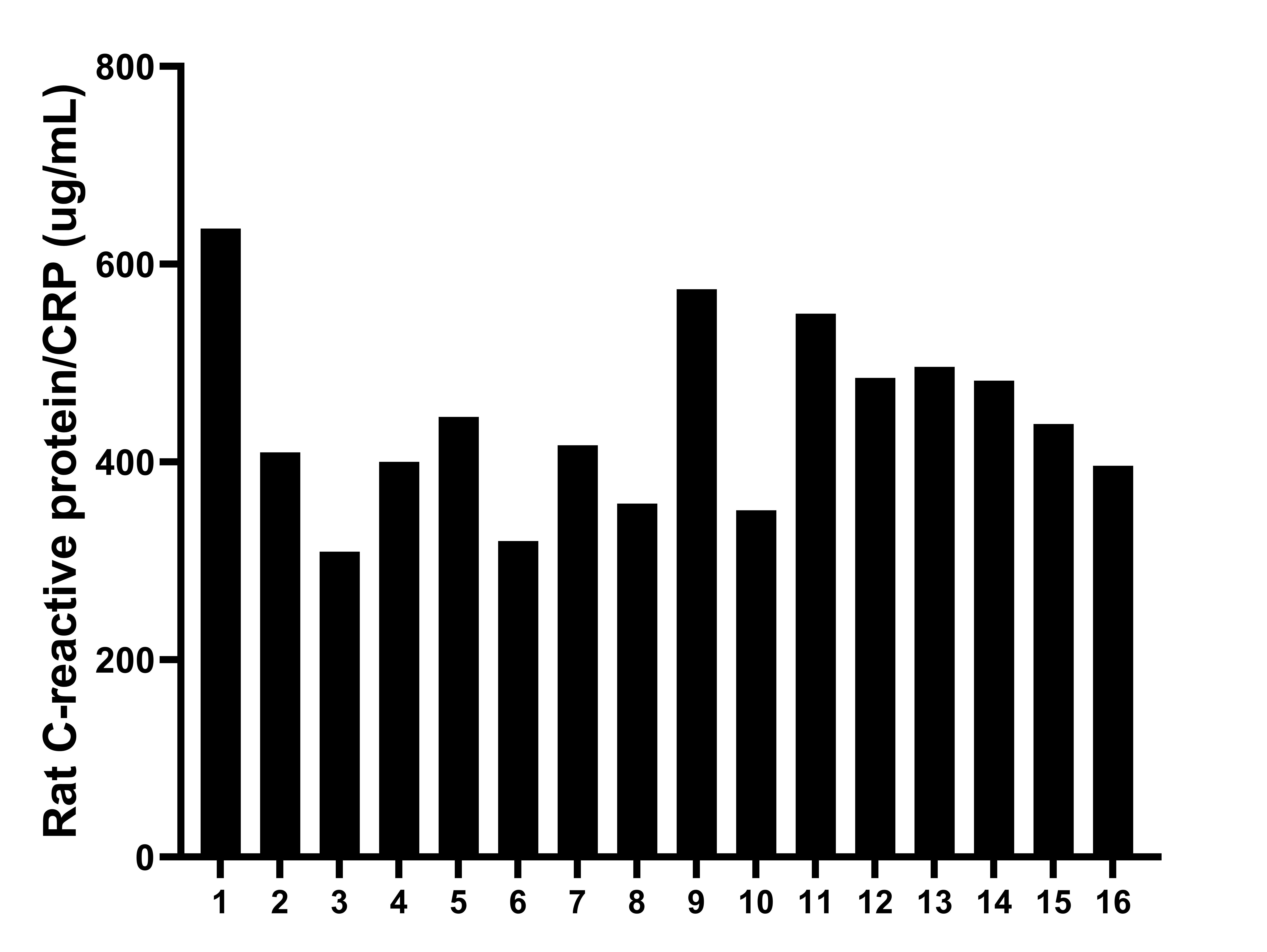 Serum of sixteen rats was measured. The rat C-reactive protein/CRP concentration of detected samples was determined to be 441.8 ug/mL with a range of 309.02 - 635.99 ug/mL.